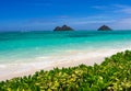 Hawaiian Seaside Royalty Free Stock Photo