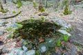 Daytime view of the spring of Yosemite National Park Royalty Free Stock Photo