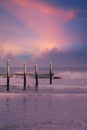 Daytona Beach Florida Oceanview birds and sunset
