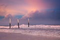 Daytona Beach Florida Oceanview birds and sunset