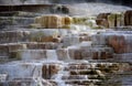 Dazzling Color at Mammoth Hot Springs in Yellowstone National Park