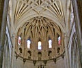 Dazzling interior of the Cathedral of Segovia in Spain.