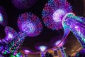 Dazzling Light Show at Singapore Gardens by the Bay