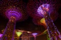 Dazzling Light Show at the Supertree Grove and Marina Bay in Sin