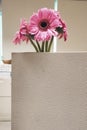 Dazzling Pink daisies over an office partition