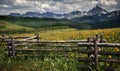 Dazzling Wildflowers, Dazzling Mountains and Meadows, Telluride, Colorado Royalty Free Stock Photo