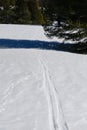 Snowy Ski Trail Through a Gradual Slope Royalty Free Stock Photo