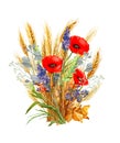 Bouquet of red poppies with wheat ears and blue cornflower flowers, wild flowers, watercolor illustration, A Royalty Free Stock Photo