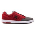 DC Nyjah SE grey and red sneaker Royalty Free Stock Photo