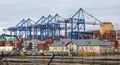 Dct  port cranes Royalty Free Stock Photo