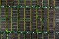 DDR RAM, Computer memory chips modules Royalty Free Stock Photo