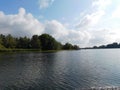 freshwater ecosystem river of a biesbosh natural park