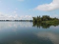 De Biesbosch National Park is one of the largest national parks of the Netherlands and one of the last extensive areas Royalty Free Stock Photo