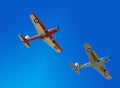 Two deHavilland T10 Chipmunks in flight Royalty Free Stock Photo