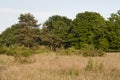 De Meinweg, Limburg, De Meinweg, Netherlands