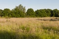 De Meinweg, Limburg, De Meinweg, Netherlands