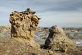 De-na-zin wilderness area, Bisti badlands, New Mexico USA