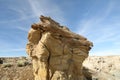 De-na-zin wilderness area, Bisti badlands, New Mexico USA