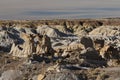 De-na-zin wilderness area, Bisti badlands, New Mexico USA