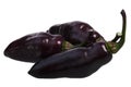 De Neyde chile peppers C. chinense, paths Royalty Free Stock Photo