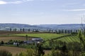 Italian pollars in the landscape of South Limburg near the hamlet of De Piepert