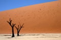 Dead acacia trees at Dead Vlei, Namib desert Royalty Free Stock Photo