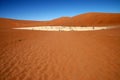 Dead acacia trees at Dead Vlei, Namib desert Royalty Free Stock Photo