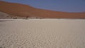 Dead acacia trees at Hiddenvlei in the Namib desert in Namibia.