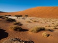 Dead acacia trees and red dunes of Namib desert Royalty Free Stock Photo
