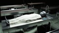 The dead alien in the morgue on the table. Futuristic autopsy concept. 3d rendering. Royalty Free Stock Photo