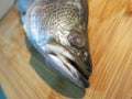 dead baramundi fish head Royalty Free Stock Photo