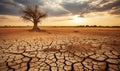 Lonely dead tree under dramatic cloudy sky at drought cracked desert landscape Royalty Free Stock Photo