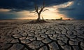 Lonely dead tree under dramatic cloudy sky at drought cracked desert landscape Royalty Free Stock Photo