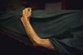 The dead body. Focus on hand decay Royalty Free Stock Photo