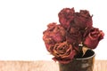 Dead bouquet of roses Royalty Free Stock Photo