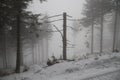 Dead broken tree with bare branches in the winter Royalty Free Stock Photo