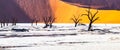 Dead camel thorn trees in Deadvlei dry pan with cracked soil in the middle of Namib Desert red dunes, Sossusvlei