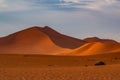 Dead Camelthorn Trees against red dunes and blue sky in Deadvlei, Sossusvlei. Namib-Naukluft National Park, Namibia Royalty Free Stock Photo