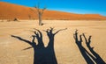 Dead Camelthorn Trees and red dunes in Deadvlei, Sossusvlei, Namib-Naukluft National Park, Namibia Royalty Free Stock Photo