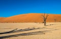 Dead Camelthorn Trees and red dunes in Deadvlei, Sossusvlei, Namib-Naukluft National Park, Namibia