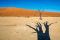 Dead Camelthorn Trees and red dunes in Deadvlei, Sossusvlei, Namib-Naukluft National Park, Namibia Royalty Free Stock Photo