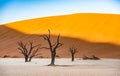 Dead Camelthorn Trees and red dunes in Deadvlei, Sossusvlei, Namib-Naukluft National Park, Namibia Royalty Free Stock Photo