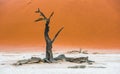 Dead Camelthorn Trees and red dunes in Deadvlei, Sossusvlei, Namib-Naukluft National Park, Namibia Royalty Free Stock Photo