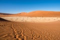 Dead Camelthorn Trees and red dunes,Deadvlei, Sossusvlei, Namibia Royalty Free Stock Photo