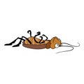 Dead cockroach insect icon cartoon vector. Home bug Royalty Free Stock Photo