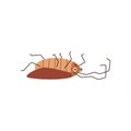 Dead cockroach lying on its back, cartoon flat vector illustration isolated on white background. Royalty Free Stock Photo