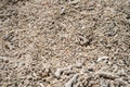 dead coral, bleached coral washed up. coral beach from the great bariier reef in queensland australia Royalty Free Stock Photo