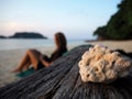 Dead Coral perched on a driftwood log