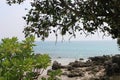 Dead corals deposited at the coast of Sitapur beach, Neil Island