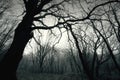Dead dark winter tree in the forest. Royalty Free Stock Photo
